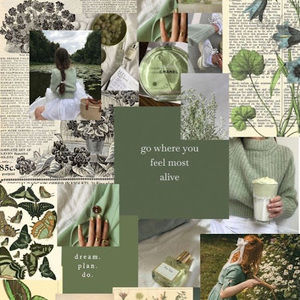 Meet your Posher, Caitlin